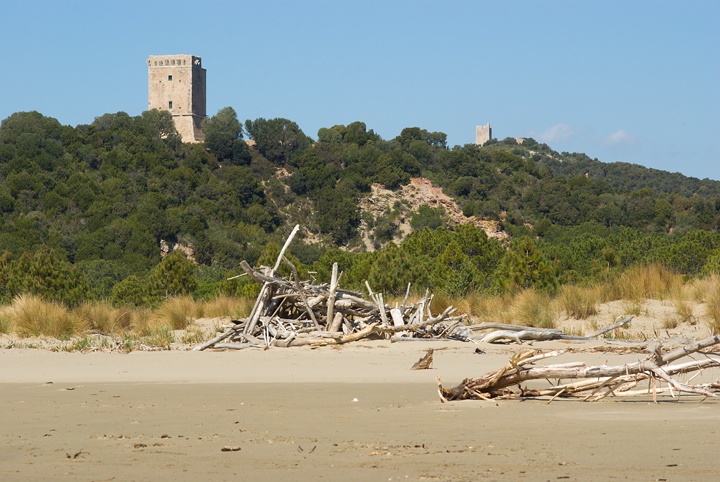 WRT spiaggia parco maremma