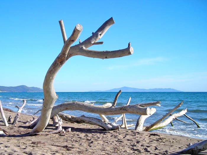 spiaggia alberese