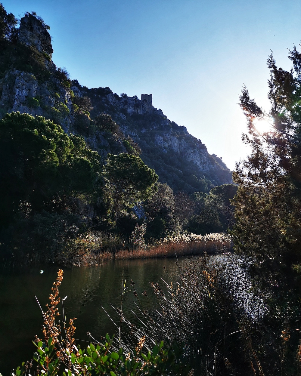 Gli eventi del 30-31 maggio al Parco della Maremma