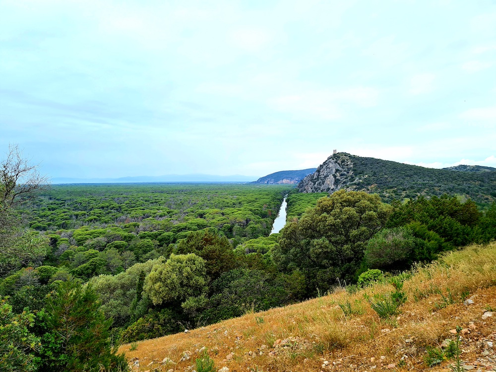 "Giunti al mare i fiumi raccontano i sogni delle sorgenti" di Nicola Bertin