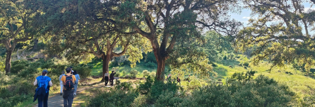 itinerario faunistico alberi e persone