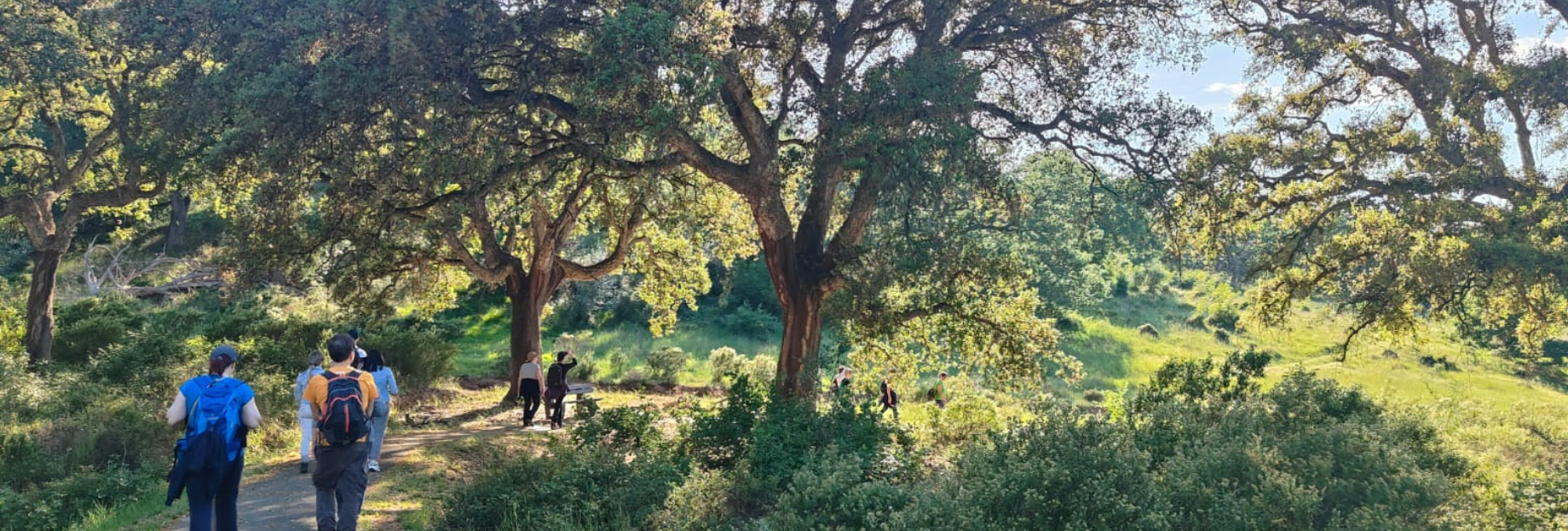 itinerario faunistico alberi e persone