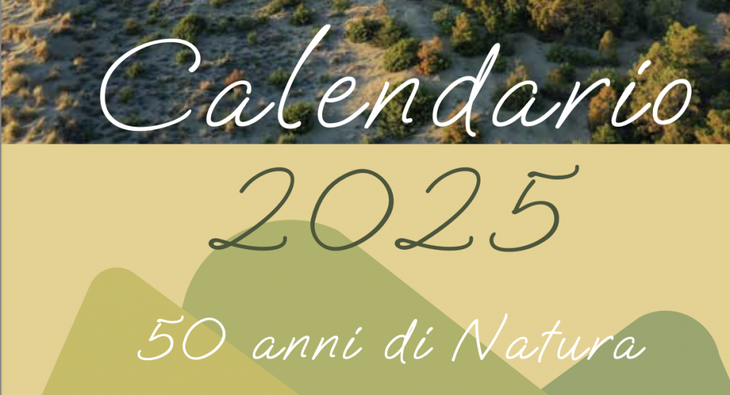 immagine del calendario 2025